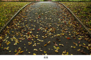 名称未設定-20